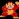 Donkey Kong